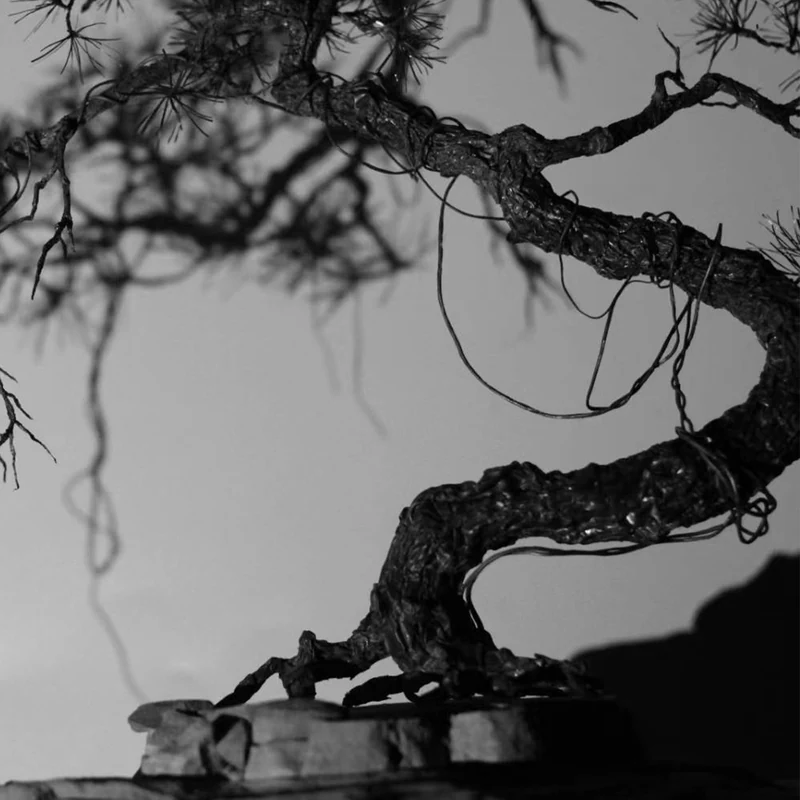 枝干造型作品细节