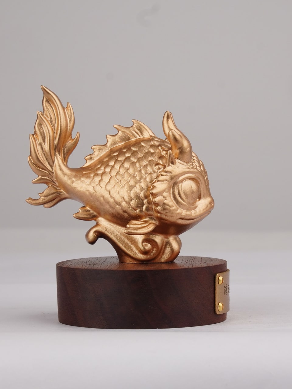鸿运金龙鱼 · 另一角度